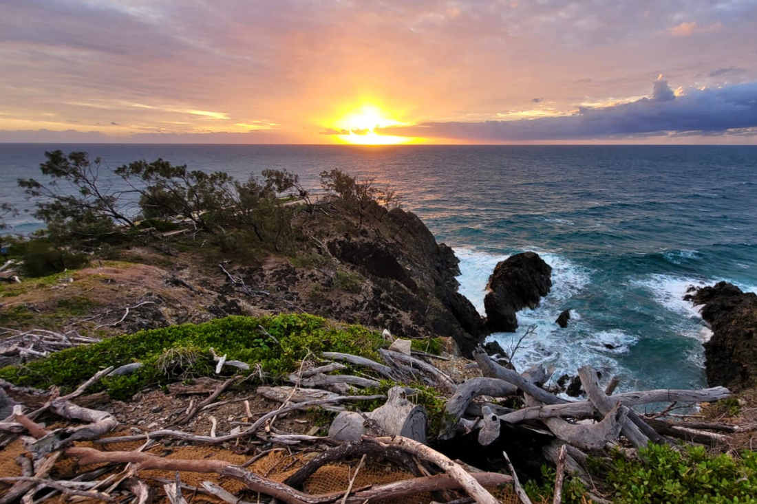 Australische Küste bei Sonnenaufgang mit wildem Meer, Treibholz und goldener Morgendämmerung – Symbol für Neubeginn und seelisches Erwachen.