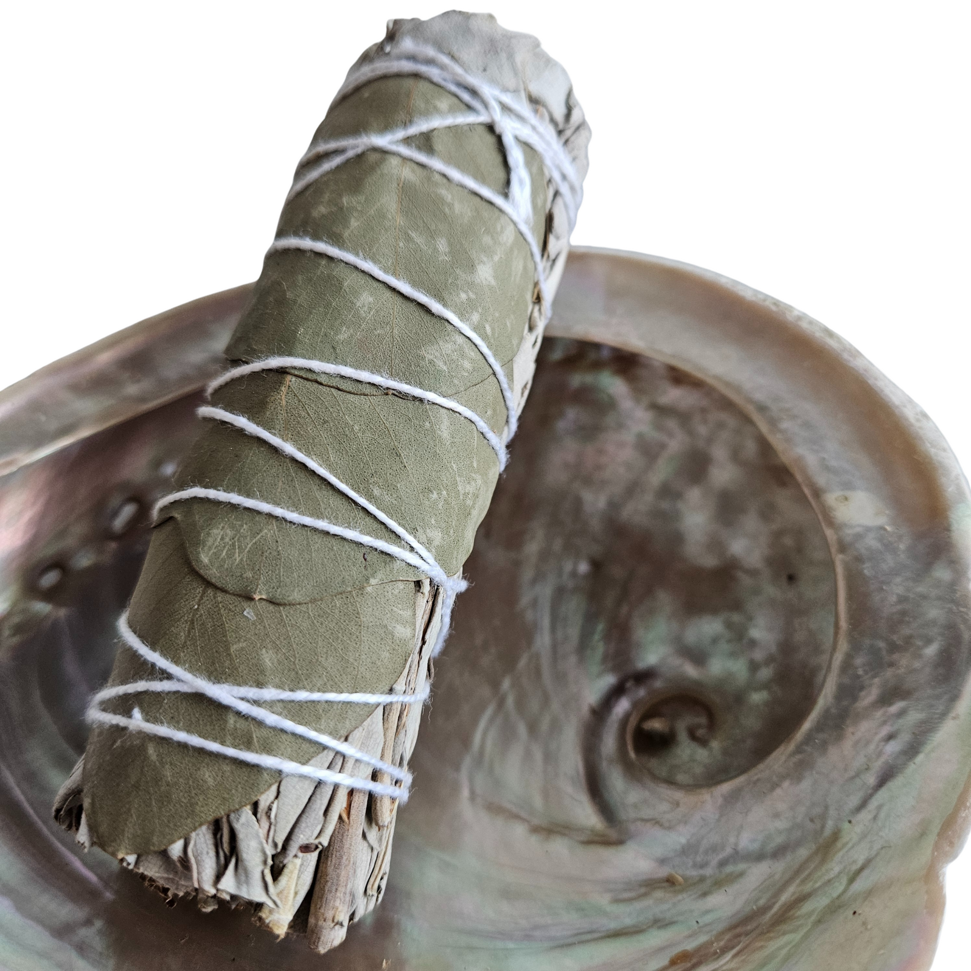 Eukalyptus-Salbei-Smudge in Abalone-Muschel – Teil des Ritualsets Fülle für Reinigung und Manifestation