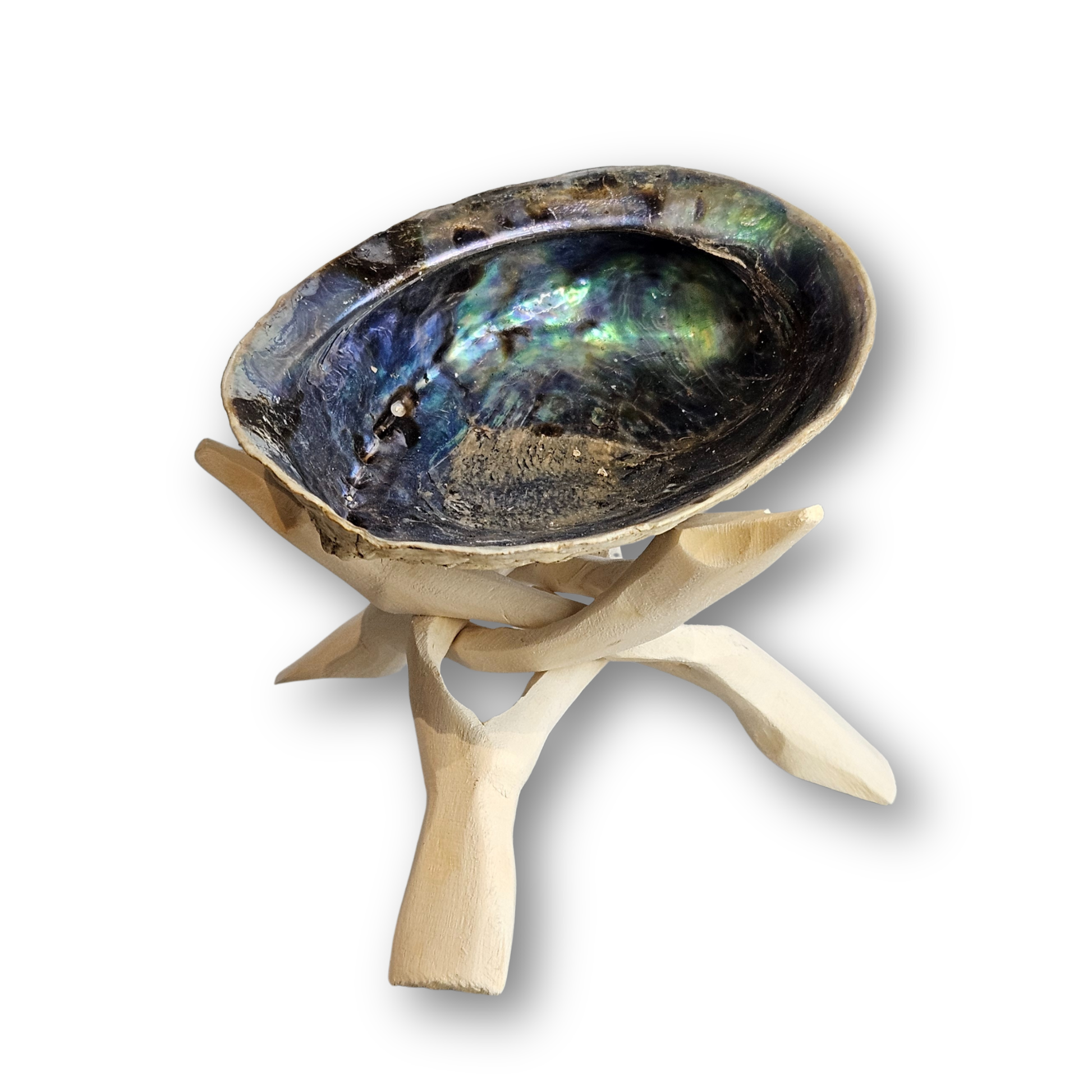 Dreieckiger Cobra Stand für Abalone Muschel und Ritualobjekte