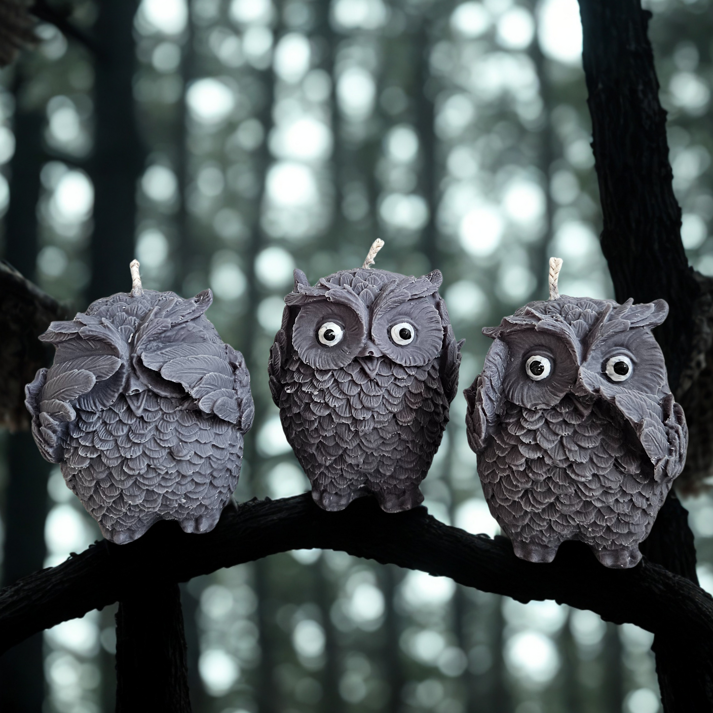 Schwarze Kerze mit Eulensymbolik in ruhiger, mystischer Atmosphäre – Lichtbegleiter für Schutz & Weisheit