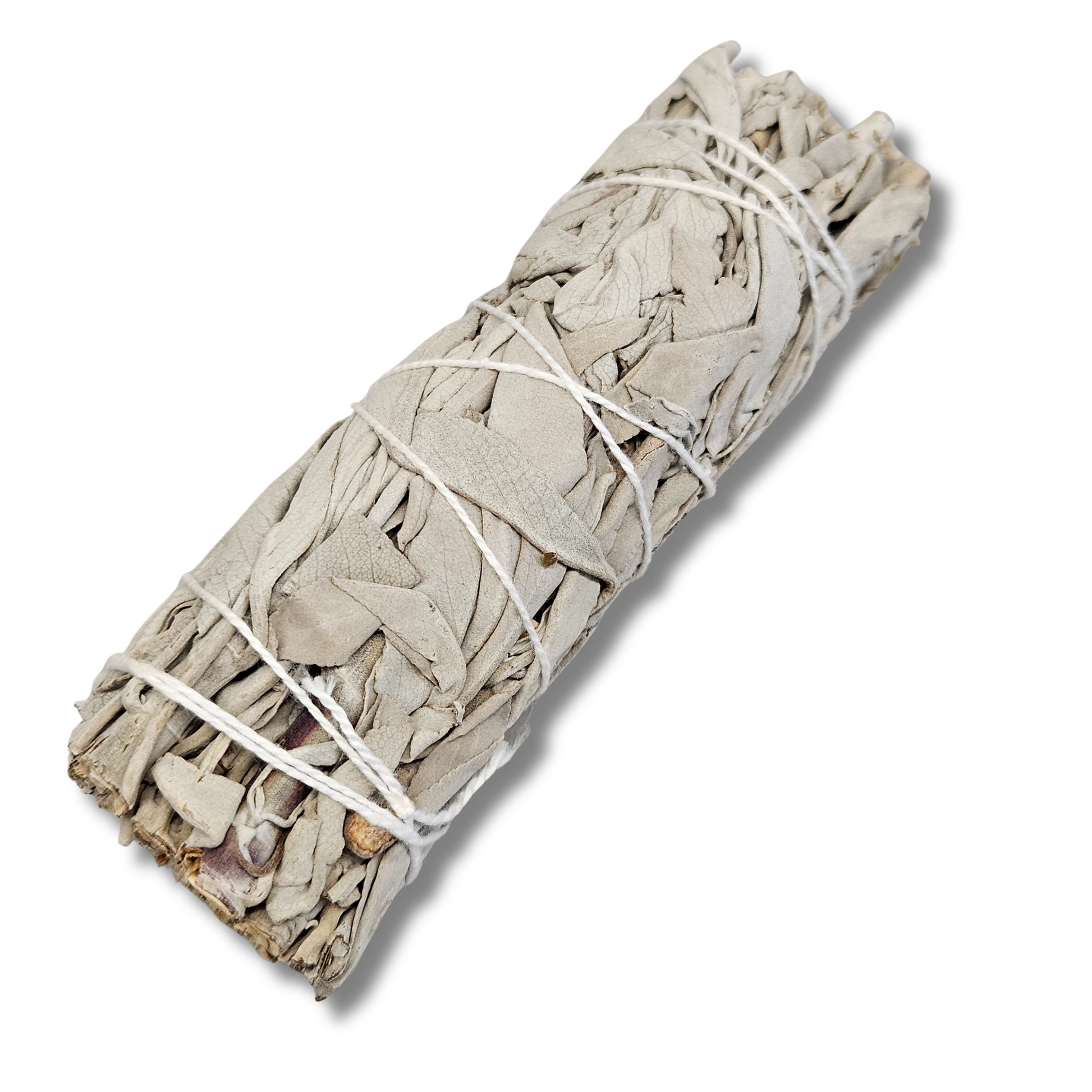 Weißer Salbei Smudge Bündel – traditionelles Räucherwerk zur energetischen Reinigung und Klärung.